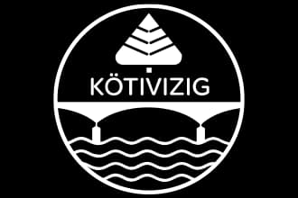 Kötivizig